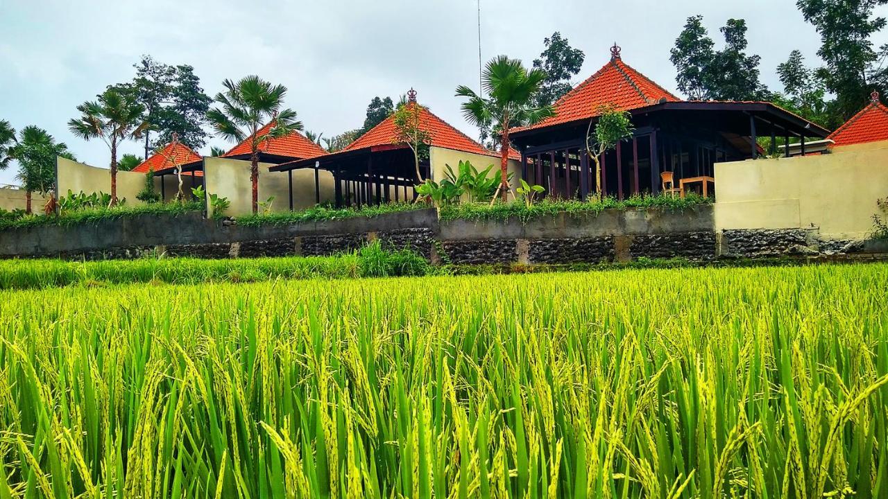 Vrindavan Ubud Villa Теґалаланґ Екстер'єр фото