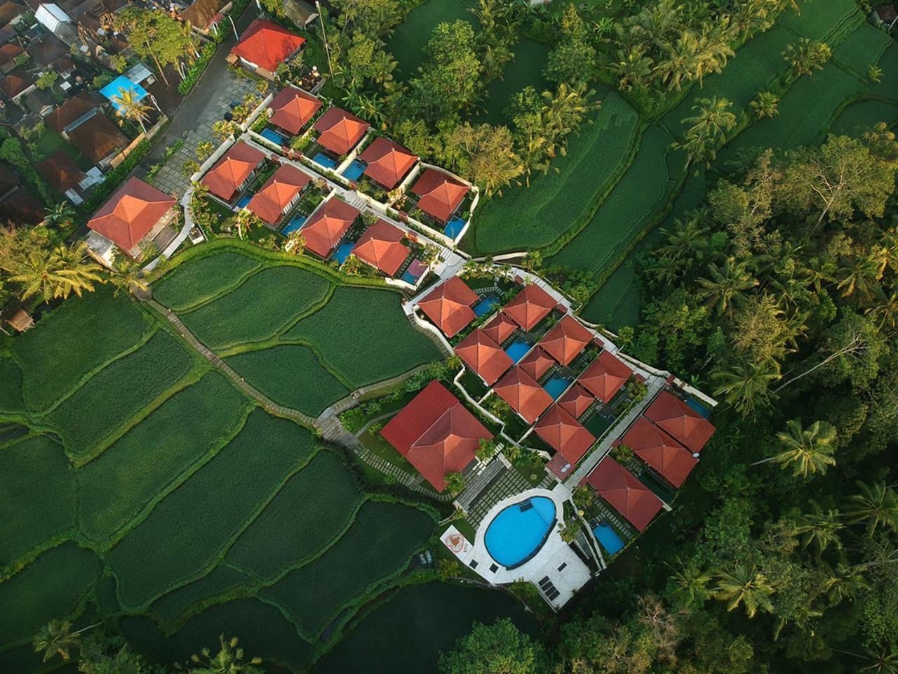 Vrindavan Ubud Villa Теґалаланґ Екстер'єр фото